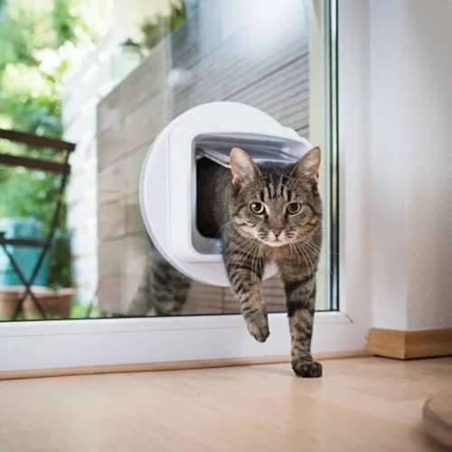 Cat flap fitted into a uPVC door, with a cat stepping through.